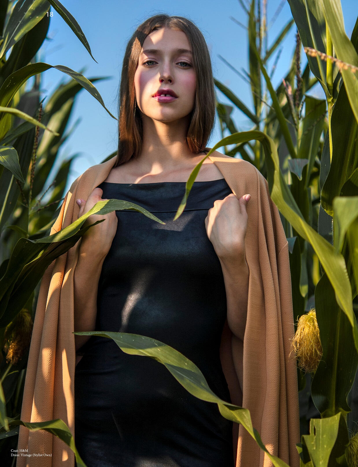 Corn cobs by Alicja Snakowska, Lina Pasławska, Malwina Kurzawa